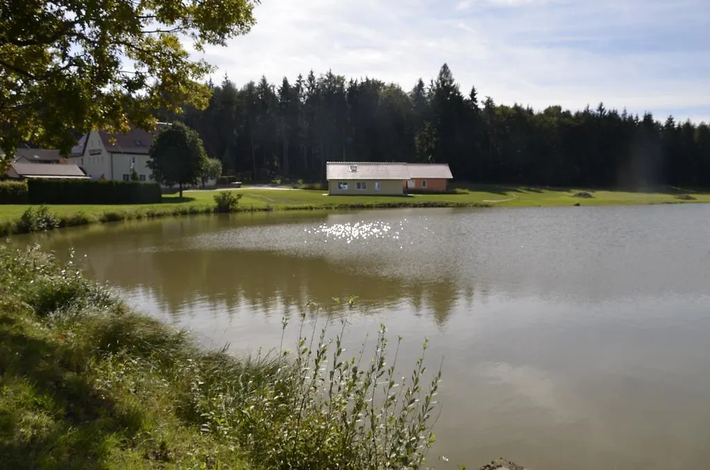 Pension Zum Grunen Wald Hotel Feuchtwangen 2*,